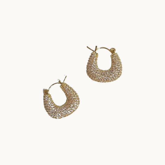 Sarah Hoops